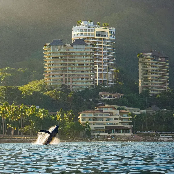 Sustainability & Social Responsibility