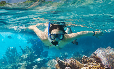 Snorkeling