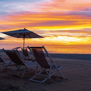Nuestra galería de fotos captura la esencia de Cabo, desde las olas rompiendo en la costa hasta la fauna marina que habita en sus aguas.