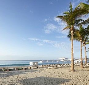 Nuestra galería de fotos captura la esencia de Cabo, desde las olas rompiendo en la costa hasta la fauna marina que habita en sus aguas.