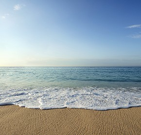 Nuestra galería de fotos captura la esencia de Cabo, desde las olas rompiendo en la costa hasta la fauna marina que habita en sus aguas.