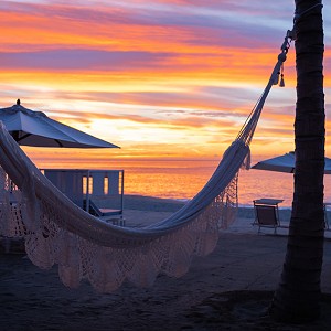 Nuestra galería de fotos captura la esencia de Cabo, desde las olas rompiendo en la costa hasta la fauna marina que habita en sus aguas.