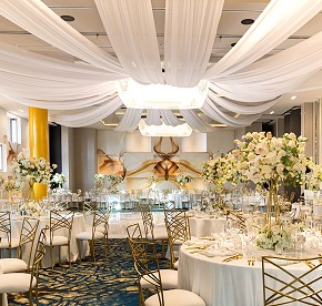 Cada imagen cuenta una historia de amor en Garza Blanca Los Cabos. Descubre la magia de nuestras bodas a través de nuestra galería fotográfica.