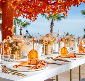 Cada imagen cuenta una historia de amor en Garza Blanca Los Cabos. Descubre la magia de nuestras bodas a través de nuestra galería fotográfica.