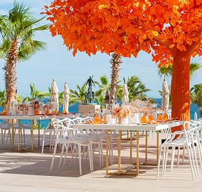 Cada imagen cuenta una historia de amor en Garza Blanca Los Cabos. Descubre la magia de nuestras bodas a través de nuestra galería fotográfica.
