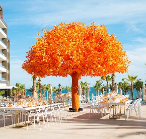 Cada imagen cuenta una historia de amor en Garza Blanca Los Cabos. Descubre la magia de nuestras bodas a través de nuestra galería fotográfica.