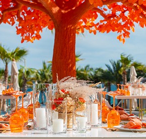 Cada imagen cuenta una historia de amor en Garza Blanca Los Cabos. Descubre la magia de nuestras bodas a través de nuestra galería fotográfica.