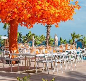 Cada imagen cuenta una historia de amor en Garza Blanca Los Cabos. Descubre la magia de nuestras bodas a través de nuestra galería fotográfica.