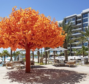 Echa un vistazo a nuestras piscinas, terrazas, el Spa, el gimnasio, nuestro centro de diversión familiar, restaurantes y más.