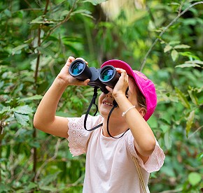 Activities and Entertainment