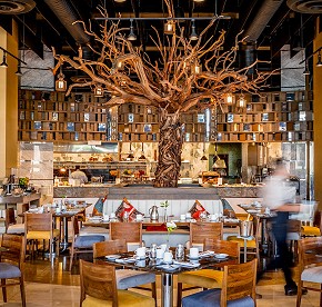 Nuestra galería revela los secretos de los restaurantes de Garza Blanca Cancún. Admira las vistas panorámicas y platos exquisitos que te esperan.