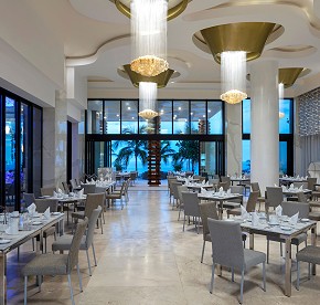 La cocina de clase mundial se encuentra con la belleza natural en nuestros restaurantes en Los Cabos. Descubre la fusión perfecta a través de nuestras fotos.