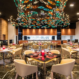 La cocina de clase mundial se encuentra con la belleza natural en nuestros restaurantes en Los Cabos. Descubre la fusión perfecta a través de nuestras fotos.