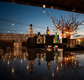 La cocina de clase mundial se encuentra con la belleza natural en nuestros restaurantes en Los Cabos. Descubre la fusión perfecta a través de nuestras fotos.