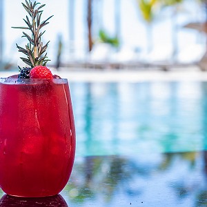 La cocina de clase mundial se encuentra con la belleza natural en nuestros restaurantes en Los Cabos. Descubre la fusión perfecta a través de nuestras fotos.