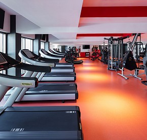 Descubre nuestro impresionante gimnasio en Garza Blanca Los Cabos a través de estas fotos. Equipo de alta gama y vistas panorámicas te esperan para una experiencia fitness incomparable.