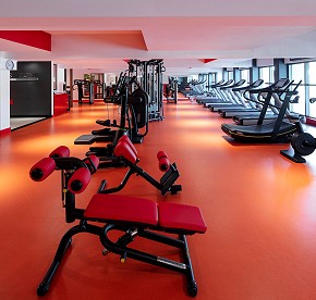 Descubre nuestro impresionante gimnasio en Garza Blanca Los Cabos a través de estas fotos. Equipo de alta gama y vistas panorámicas te esperan para una experiencia fitness incomparable.